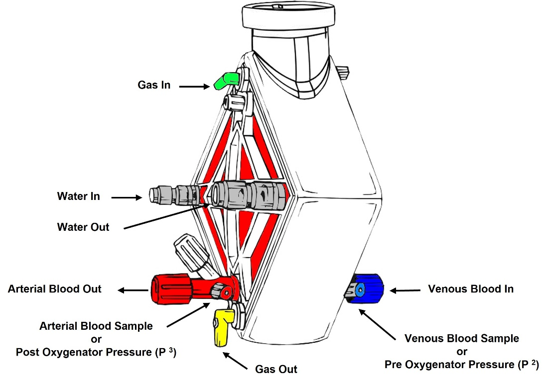 ECMO oxygenator diagram